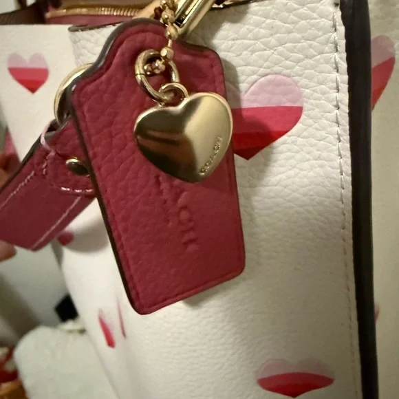 Coach Limited Edition Mollie Bucket Bag With Stripe Heart Print - Picture 5 of 15